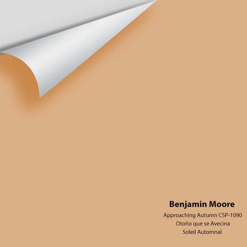 Benjamin Moore - Approaching Autumn CSP-1090 Peel & Stick Color Sample