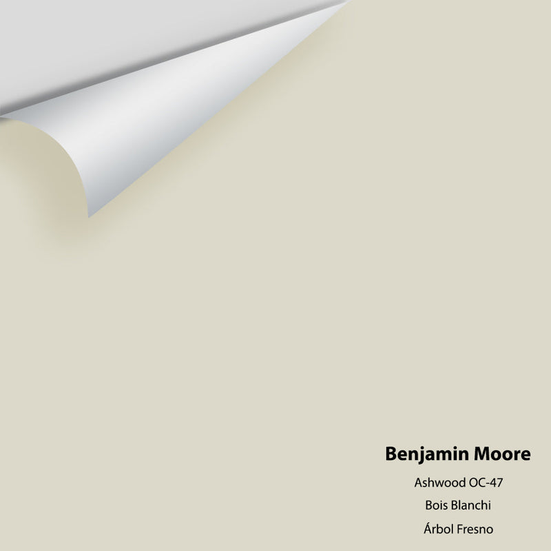 Benjamin Moore - Ashwood OC-47 Peel & Stick Color Sample