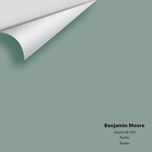 Benjamin Moore - Azores AF-495 Peel & Stick Color Sample