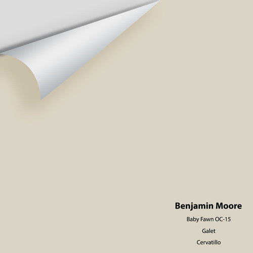 Benjamin Moore - Baby Fawn OC-15 Peel & Stick Color Sample