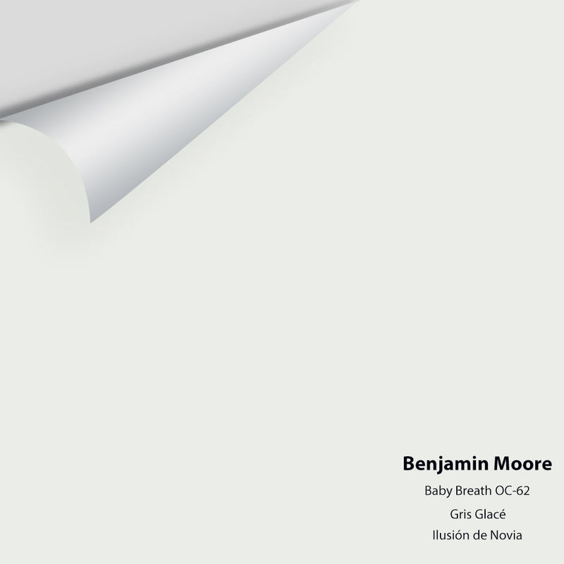 Benjamin Moore - Baby's Breath 873/OC-62 Peel & Stick Color Sample