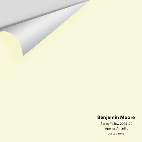 Benjamin Moore - Barely Yellow 2025-70 Peel & Stick Color Sample