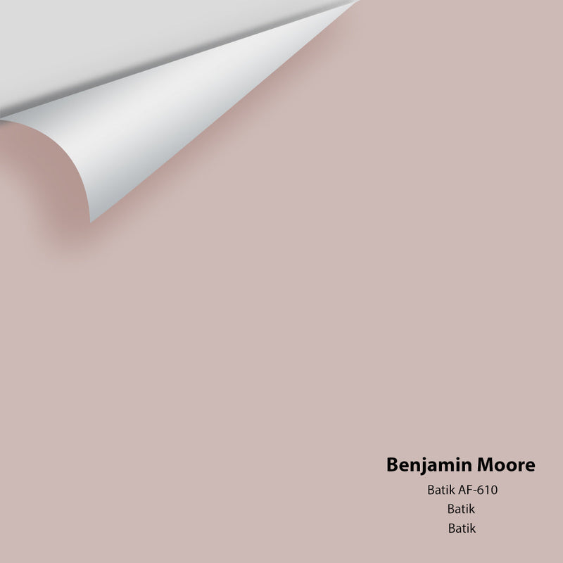 Benjamin Moore - Batik AF-610 Peel & Stick Color Sample
