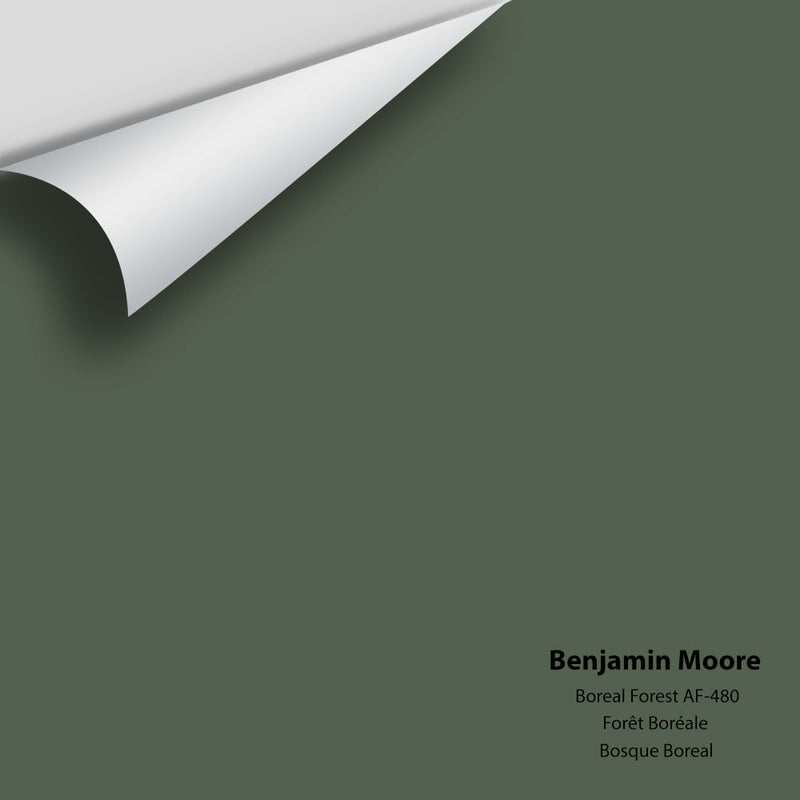 Benjamin Moore - Boreal Forest AF-480 Peel & Stick Color Sample