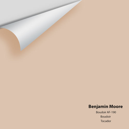 Benjamin Moore - Boudoir AF-190 Peel & Stick Color Sample