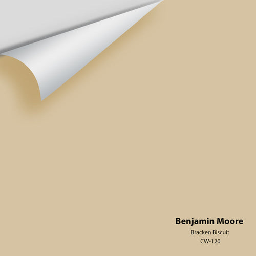 Benjamin Moore - Bracken Biscuit CW-120 Peel & Stick Color Sample