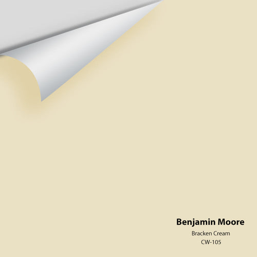 Benjamin Moore - Bracken Cream CW-105 Peel & Stick Color Sample