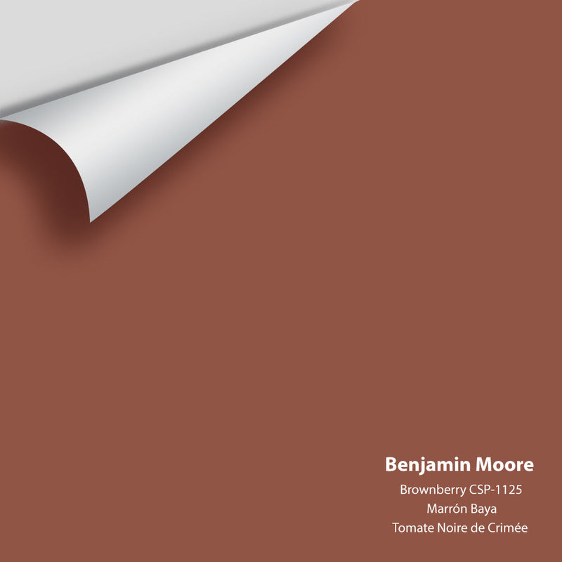 Benjamin Moore - Brownberry CSP-1125 Peel & Stick Color Sample