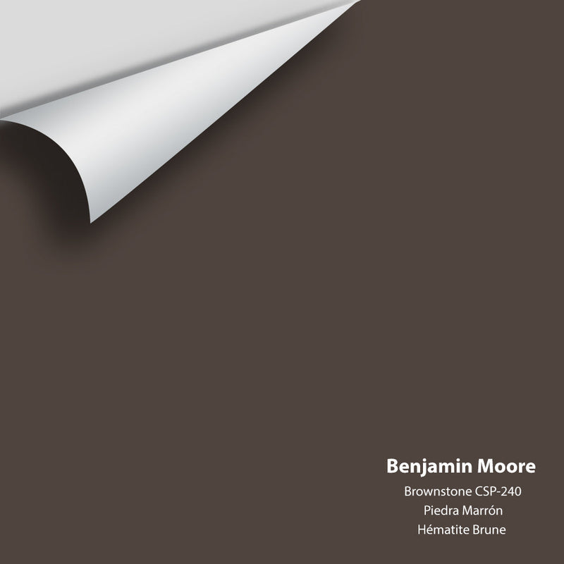 Benjamin Moore - Brownstone CSP-240 Peel & Stick Color Sample
