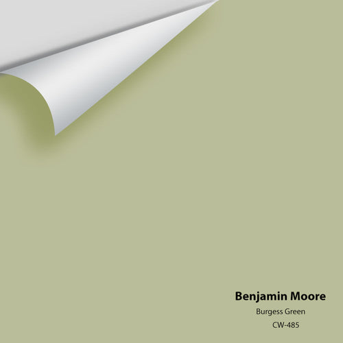 Benjamin Moore - Burgess Green CW-485 Peel & Stick Color Sample