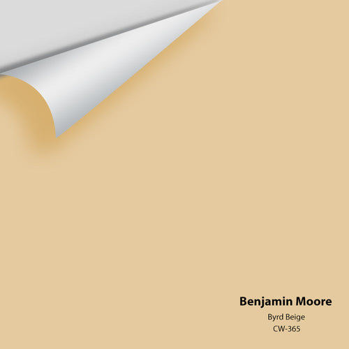 Benjamin Moore - Byrd Beige CW-365 Peel & Stick Color Sample