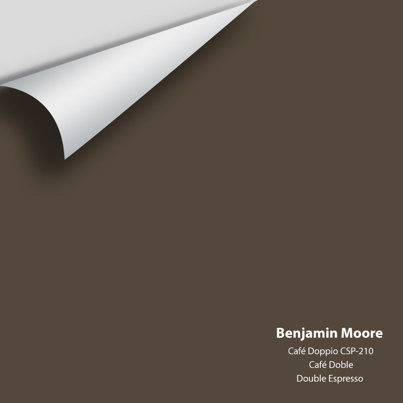 Benjamin Moore - Café Doppio CSP-210 Peel & Stick Color Sample