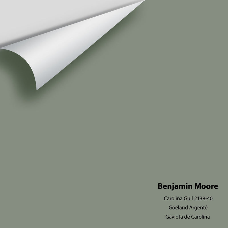 Benjamin Moore - Carolina Gull 2138-40 Peel & Stick Color Sample