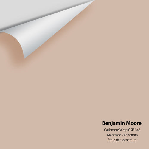 Benjamin Moore - Cashmere Wrap CSP-345 Peel & Stick Color Sample