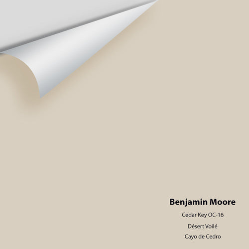 Benjamin Moore - Cedar Key 982/OC-16 Peel & Stick Color Sample