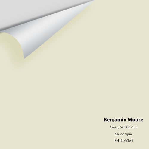 Benjamin Moore - Celery Salt 938/OC-136 Peel & Stick Color Sample