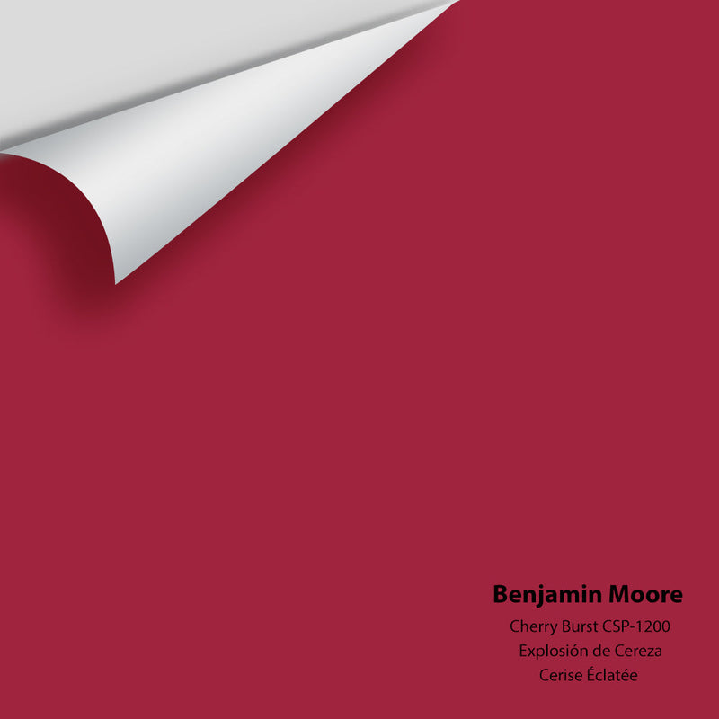 Benjamin Moore - Cherry Burst CSP-1200 Peel & Stick Color Sample