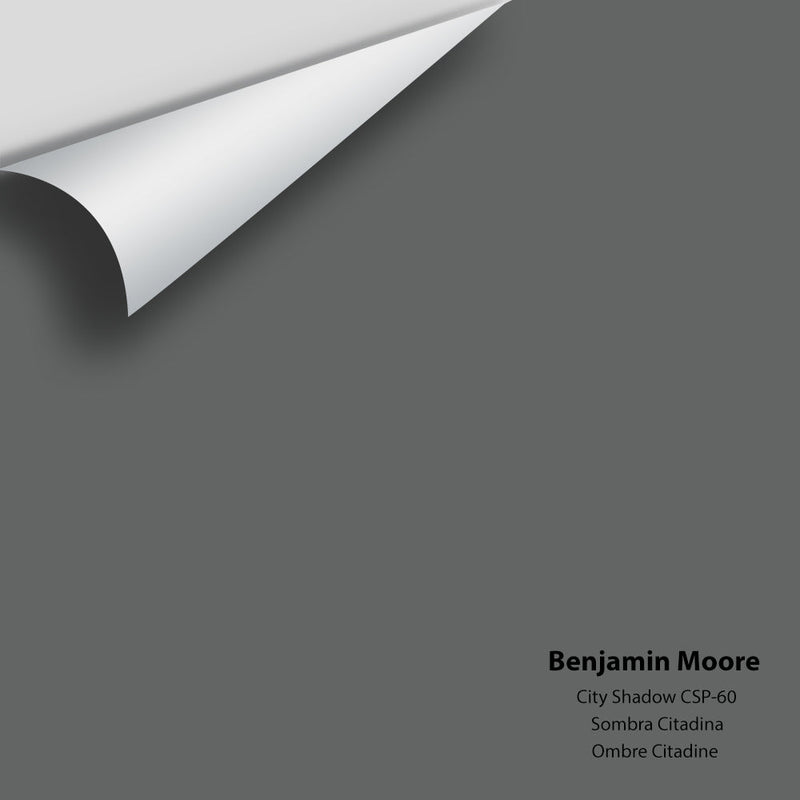 Benjamin Moore - City Shadow CSP-60 Peel & Stick Color Sample