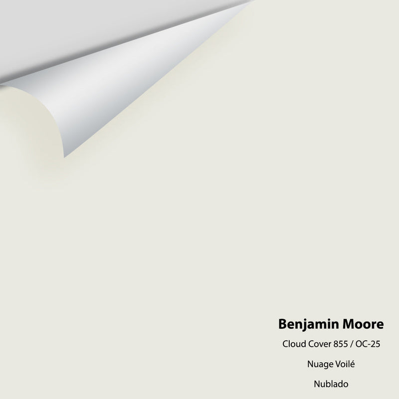 Benjamin Moore - Cloud Cover 855/OC-25 Peel & Stick Color Sample