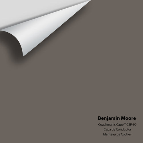 Benjamin Moore - Coachman's Cape® CSP-90 Color Sample