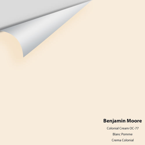 Benjamin Moore - Colonial Cream OC-77 Peel & Stick Color Sample