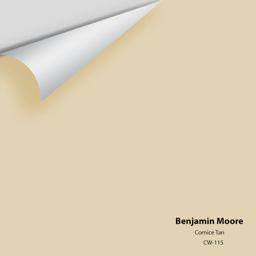 Benjamin Moore - Cornice Tan CW-115 Peel & Stick Color Sample