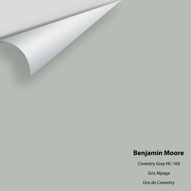 Benjamin Moore - Coventry Gray HC-169 Peel & Stick Color Sample
