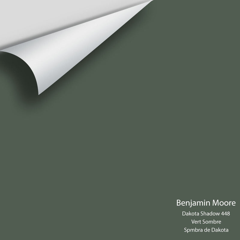 Benjamin Moore - Dakota Shadow 448 Peel & Stick Color Sample