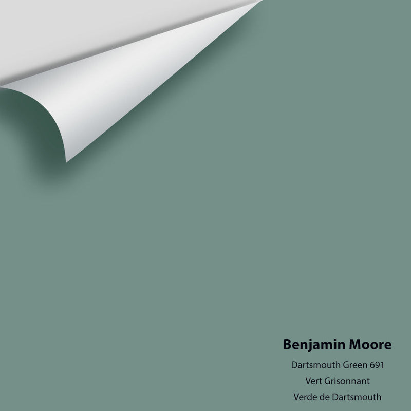Benjamin Moore - Dartsmouth Green 691 Peel & Stick Color Sample