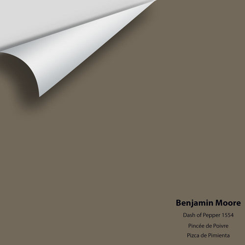 Benjamin Moore - Dash Of Pepper 1554 Peel & Stick Color Sample