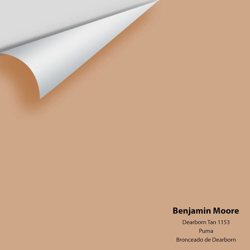 Benjamin Moore - Dearborn Tan 1153 Peel & Stick Color Sample