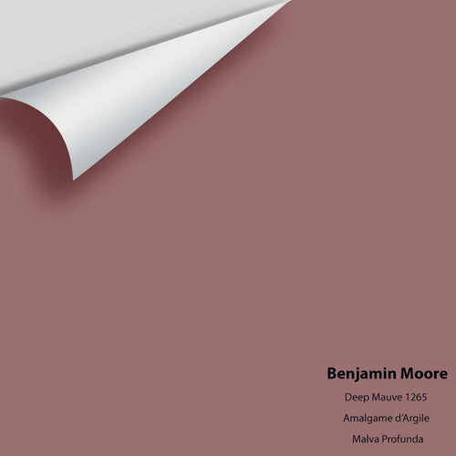 Benjamin Moore - Deep Mauve 1265 Peel & Stick Color Sample