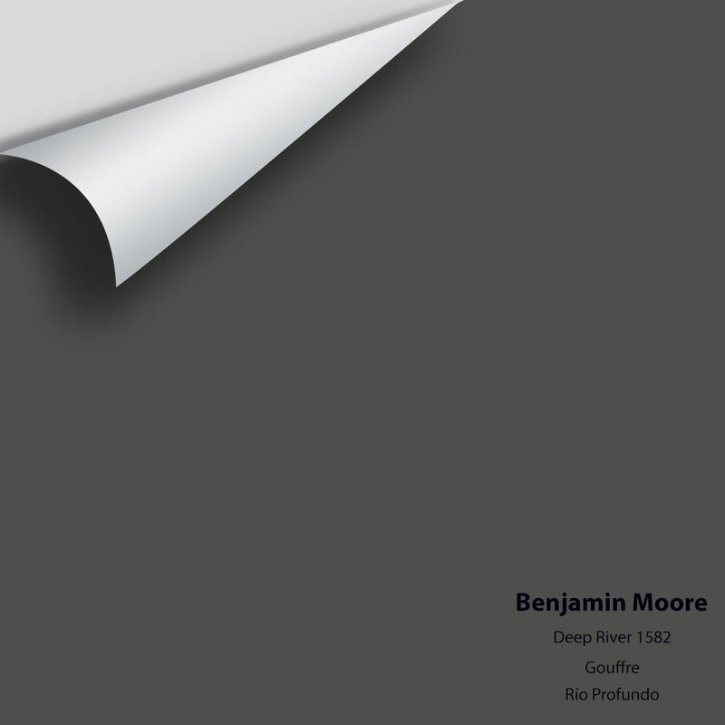 Benjamin Moore - Deep River 1582 Peel & Stick Color Sample