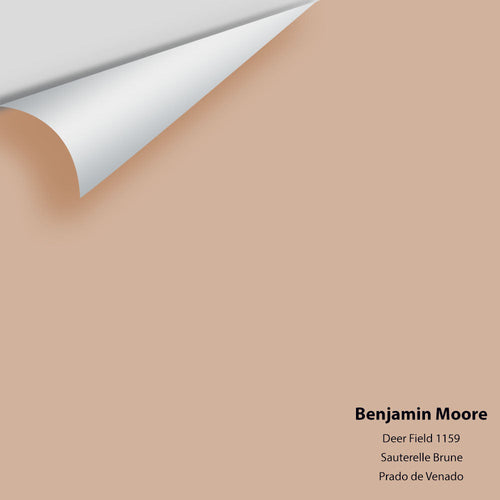 Benjamin Moore - Deer Field 1159 Peel & Stick Color Sample