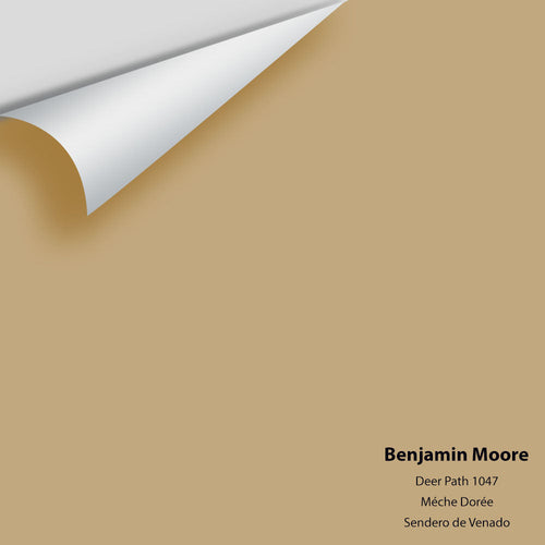 Benjamin Moore - Deer Path 1047 Peel & Stick Color Sample