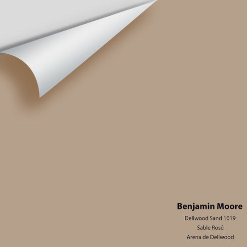 Benjamin Moore - Dellwood Sand 1019 Peel & Stick Color Sample