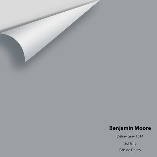 Benjamin Moore - Delray Gray 1614 Peel & Stick Color Sample