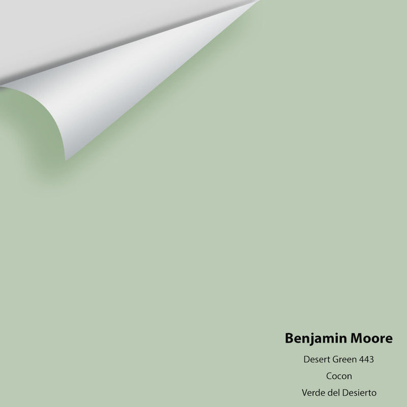 Benjamin Moore - Desert Green 443 Peel & Stick Color Sample