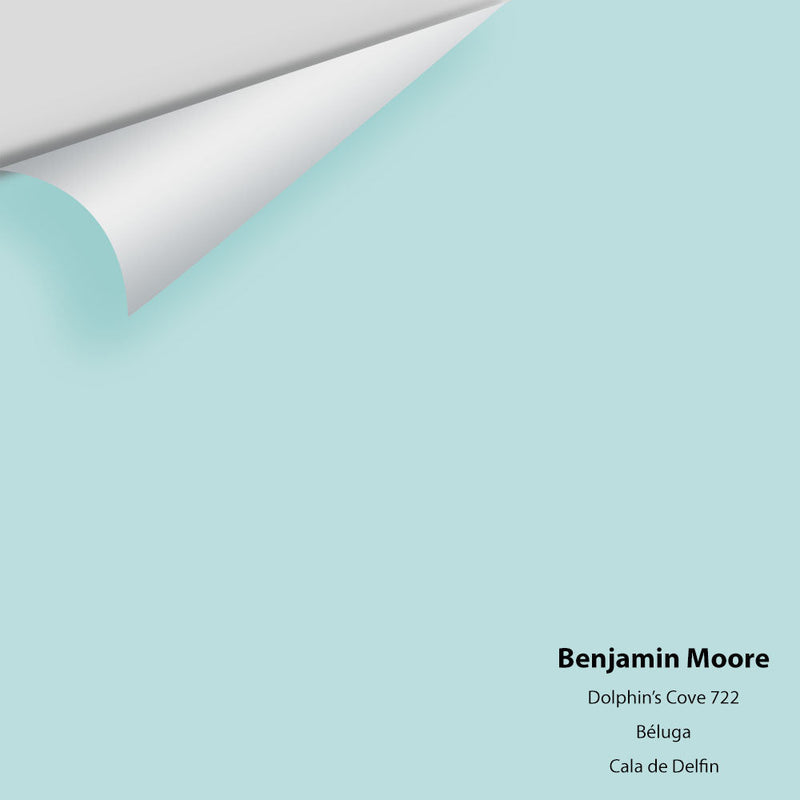 Benjamin Moore - Dolphin's Cove 722 Peel & Stick Color Sample