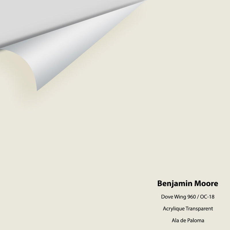 Benjamin Moore - Dove Wing 960/OC-18 Peel & Stick Color Sample