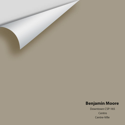 Benjamin Moore - Downtown CSP-165 Peel & Stick Color Sample