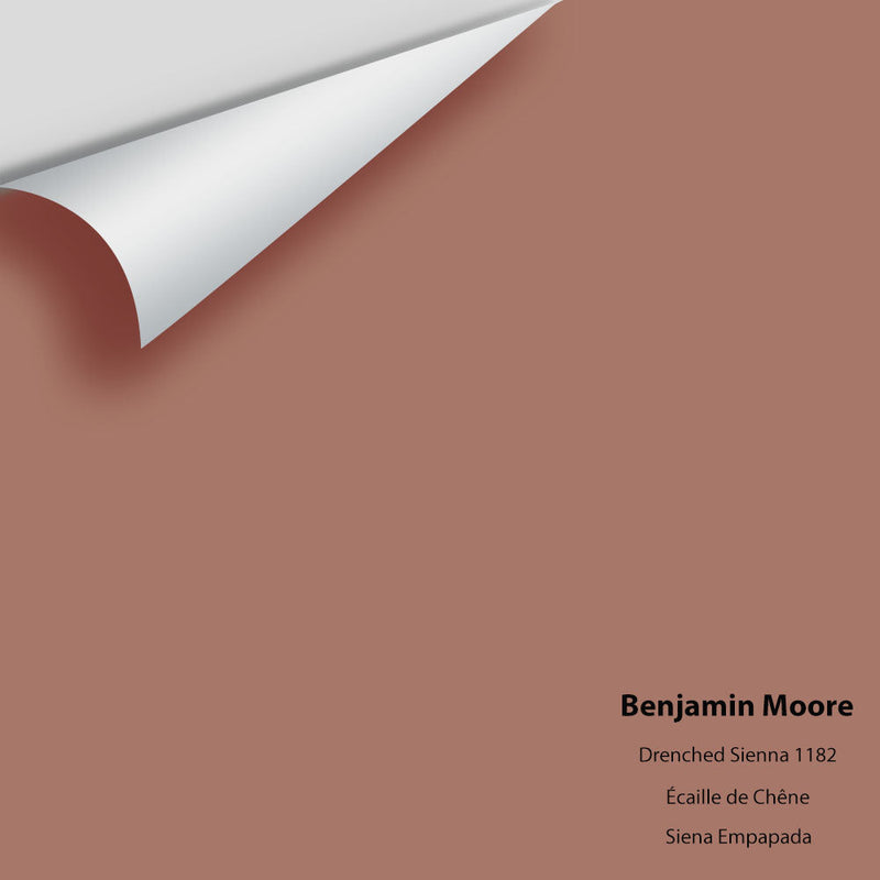 Benjamin Moore - Drenched Sienna 1182 Peel & Stick Color Sample