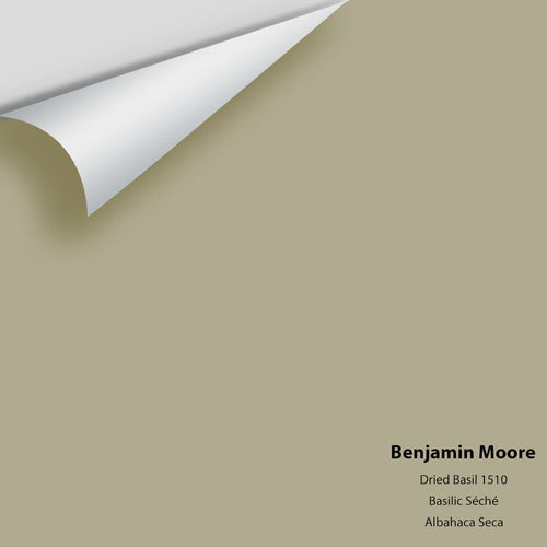 Benjamin Moore - Dried Basil 1510 Peel & Stick Color Sample