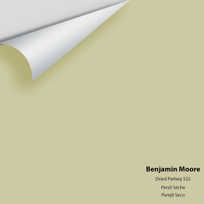 Benjamin Moore - Dried Parsley 522 Peel & Stick Color Sample