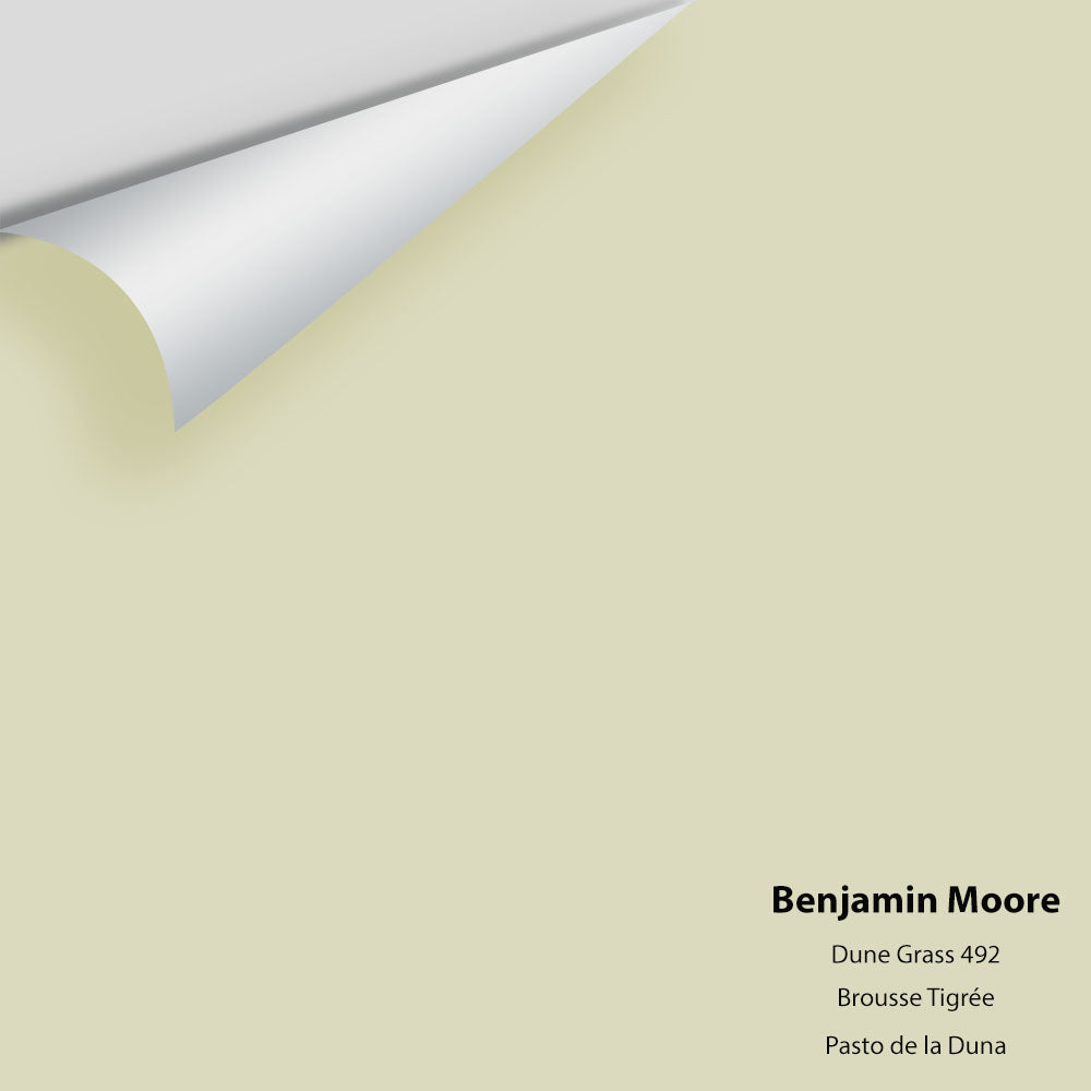 The Color House Benjamin Moore Peel & Stick Paint Samples