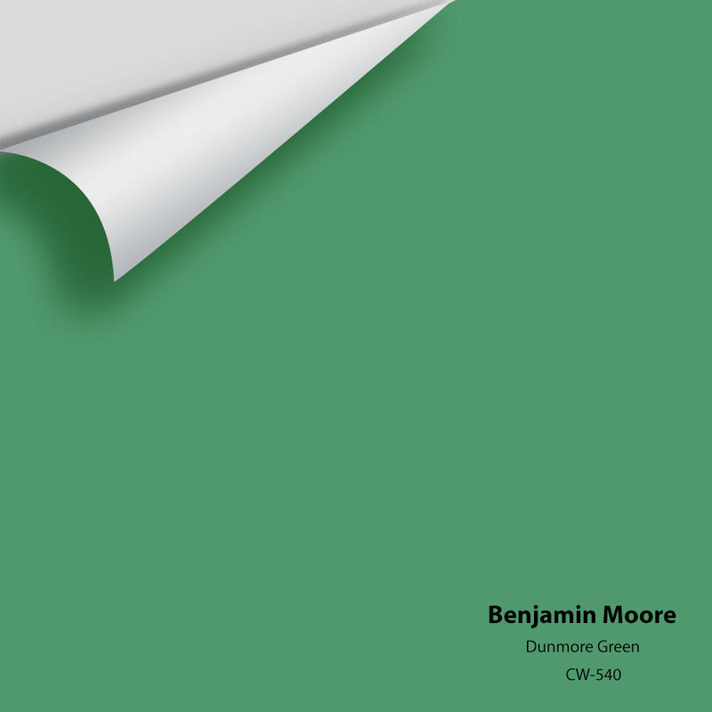 Benjamin Moore - Dunmore Green CW-540 Peel & Stick Color Sample