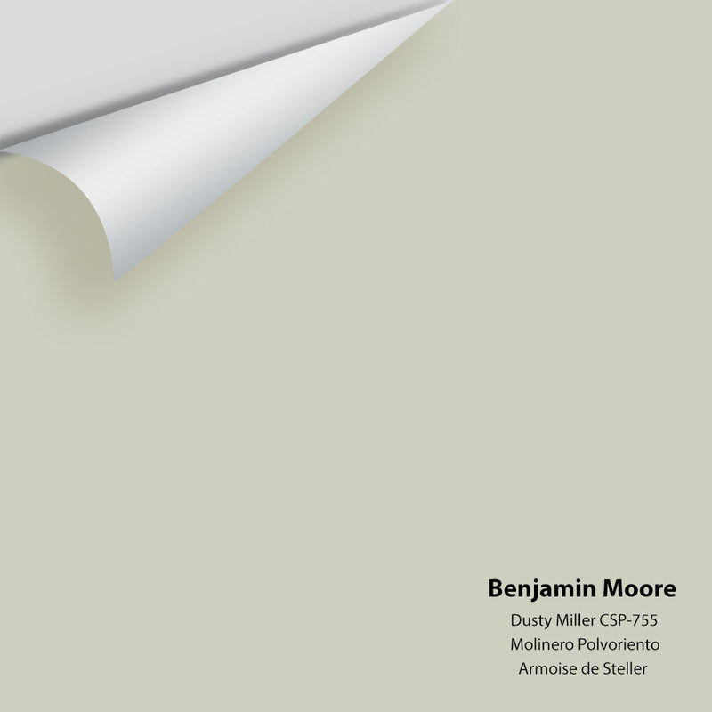Benjamin Moore - Dusty Miller CSP-755 Peel & Stick Color Sample