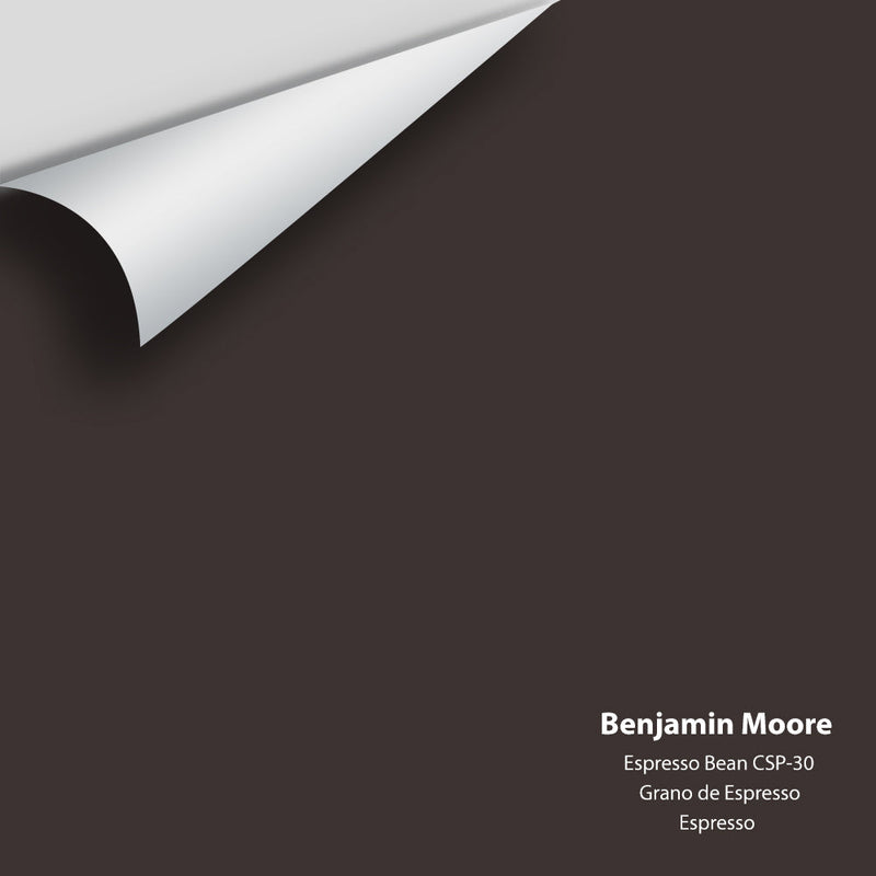 Benjamin Moore - Espresso Bean CSP-30 Peel & Stick Color Sample