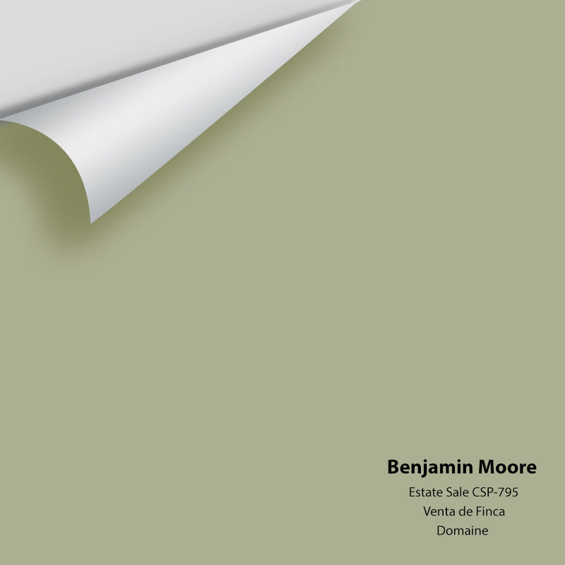 Benjamin Moore - Estate Sale CSP-795 Peel & Stick Color Sample