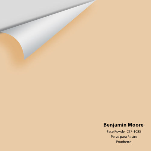 Benjamin Moore - Face Powder CSP-1085 Peel & Stick Color Sample